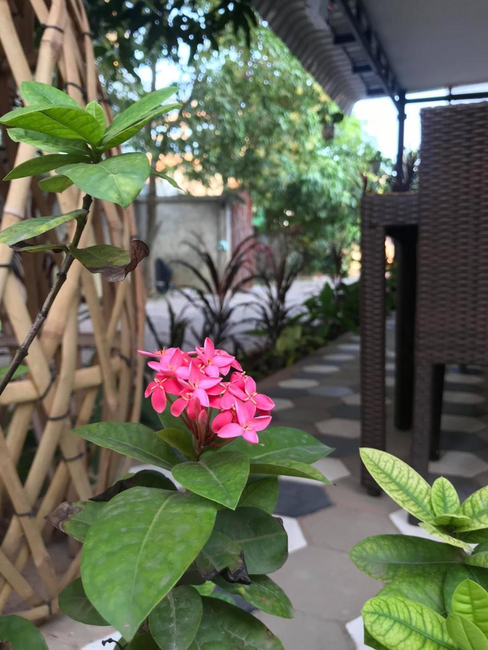 My Home Villa Siem Reap Bagian luar foto